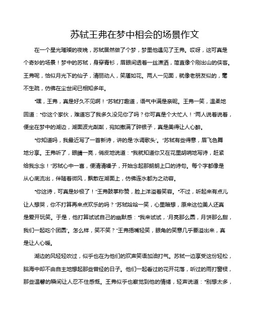 苏轼王弗在梦中相会的场景作文