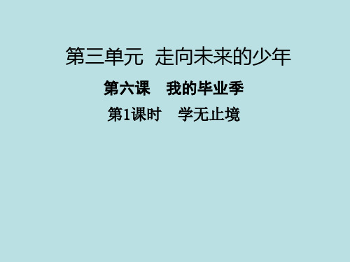 人教版九年级道德与法治下册 ：6.1学无止境  (30张幻灯片)