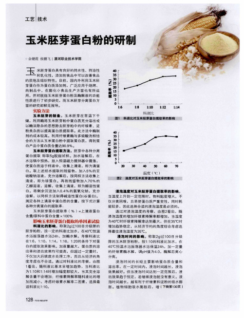玉米胚芽蛋白粉的研制