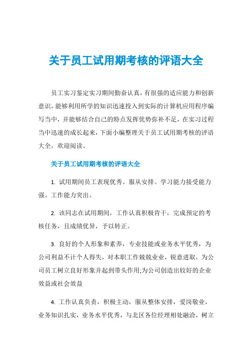 关于员工试用期考核的评语大全