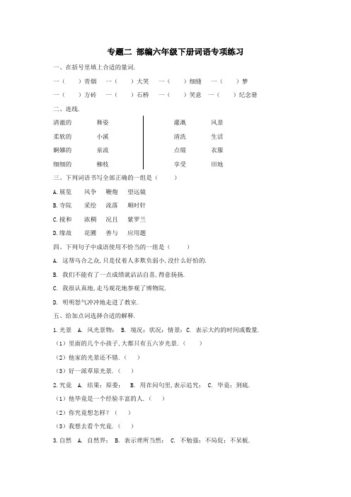 部编版六年级语文下册词语专项练习题及答案