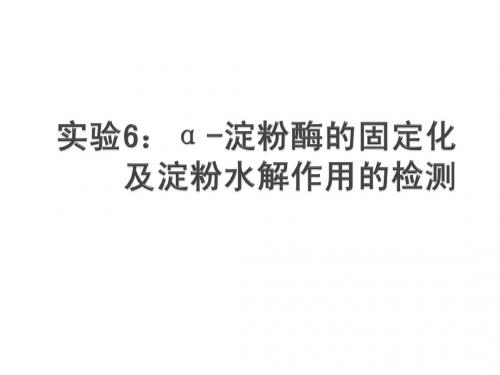 实验6：a-淀粉酶的固定化及淀粉水解作用的检测