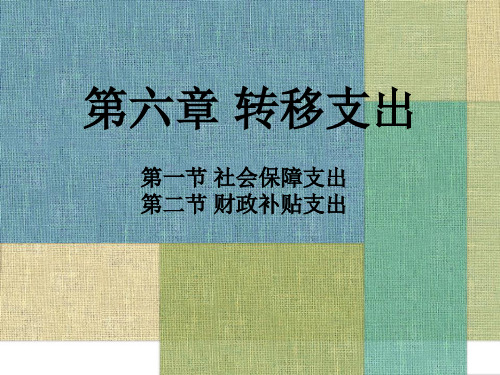 财政学6.第六章 转移支出