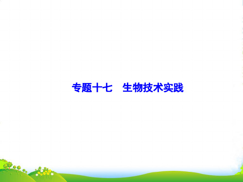 高考生物二轮复习课件：生物技术实践1 课件(全国通用)