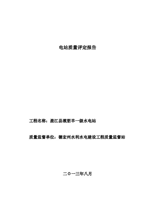 电站质量评定报告