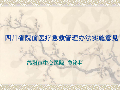 四川省院前医疗急救管理办法实施意见 (1)