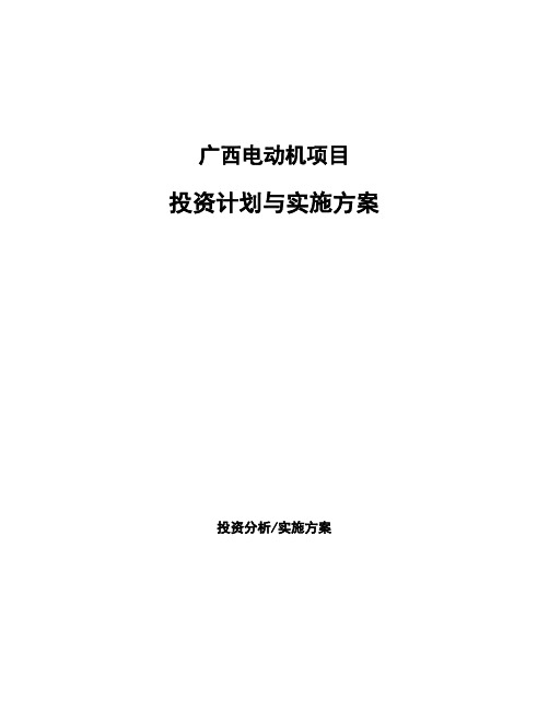 广西电动机项目投资计划与实施方案