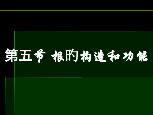 根的结构和类型