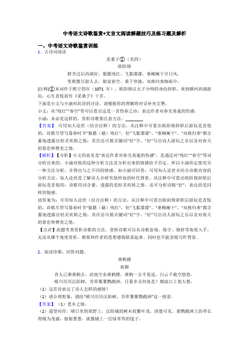 中考语文诗歌鉴赏+文言文阅读解题技巧及练习题及解析