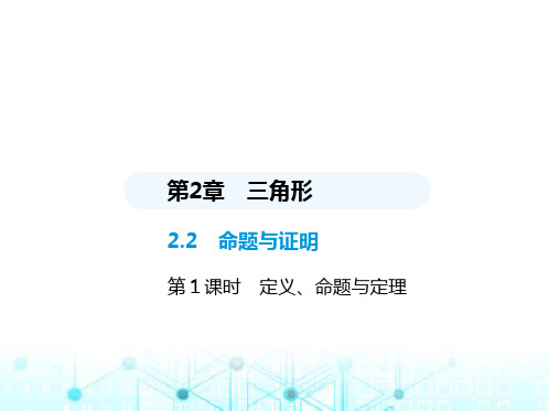 湘教版初中八年级数学上册2-2命题与证明第1课时定义、命题与定理课件