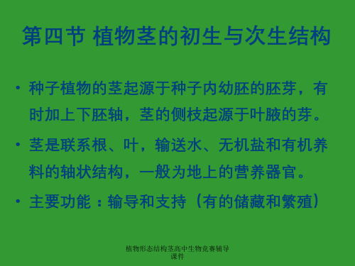 植物形态结构茎高中生物竞赛辅导课件