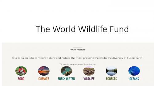 高中英语复习北师大版选修八《Unit 22 The World Wildlife Fund》(共38张PPT)