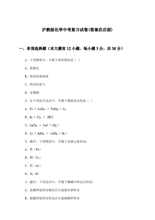 沪教版中考化学试卷及解答参考