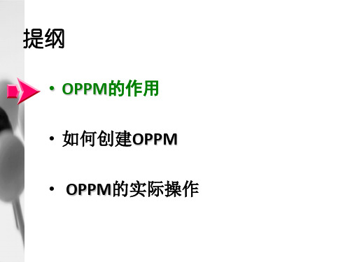 OPPM一页纸项目管理