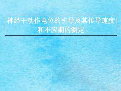 神经干AP引导及其传导速度和不应期测定ppt课件