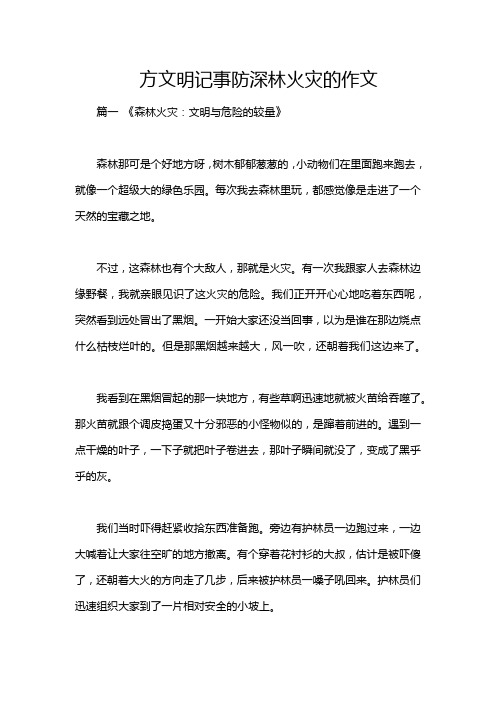 方文明记事防深林火灾的作文