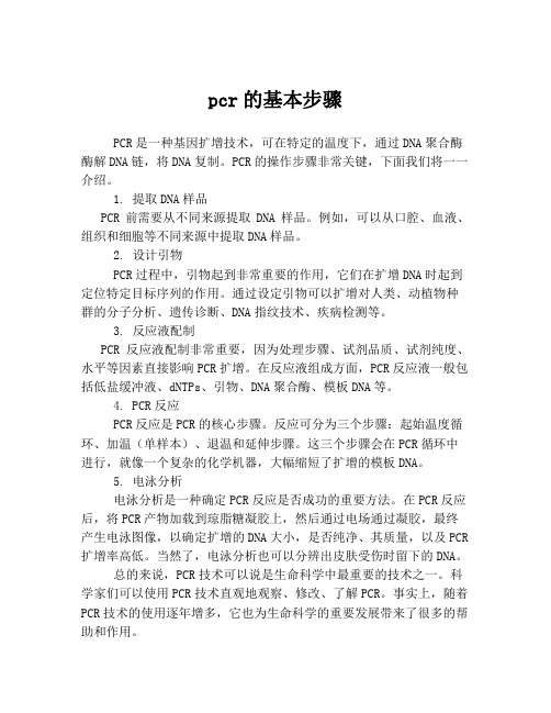 pcr的基本步骤