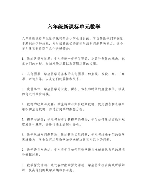 六年级新课标单元数学