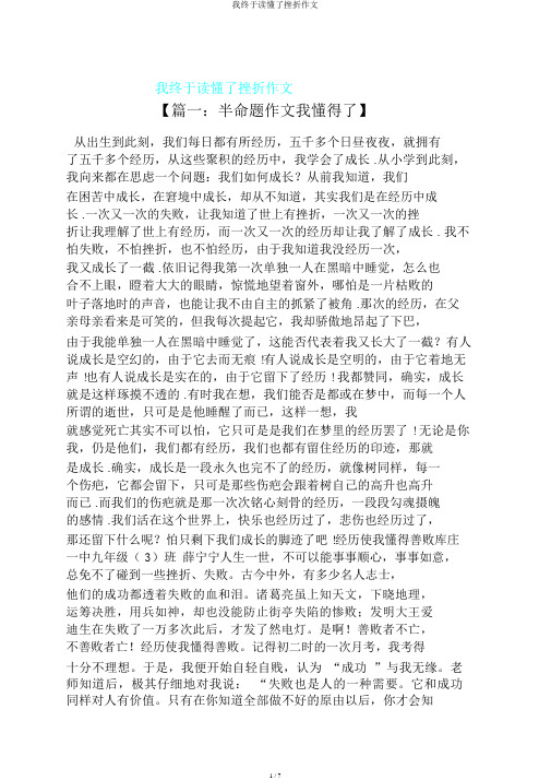 我终于读懂了挫折作文