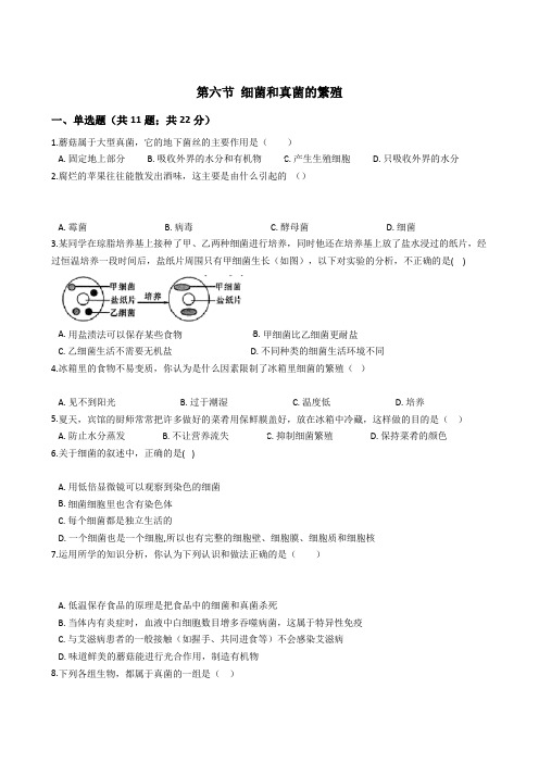 1.6  细菌和真菌的繁殖  同步练习—2020-2021学年浙教版七年级科学下册