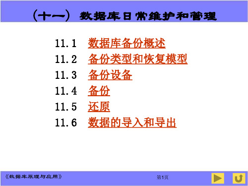 11.数据库日常维护和管理