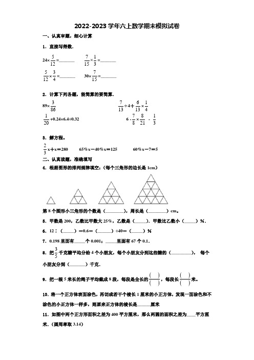 2022-2023学年云南省文山壮族苗族自治州文山县数学六年级第一学期期末复习检测模拟试题含解析