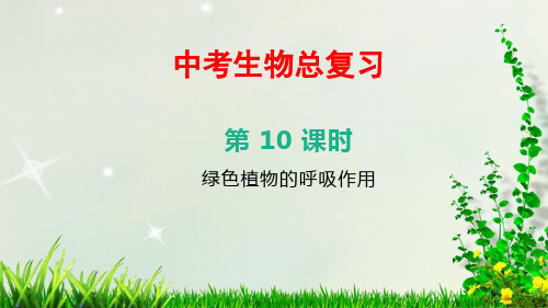 北京中考生物总复习——第10课时 绿色植物的呼吸作用