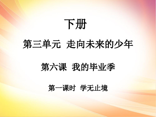 人教部编版九年级道德与法治下册课件：第六课第一课时(共14张PPT)