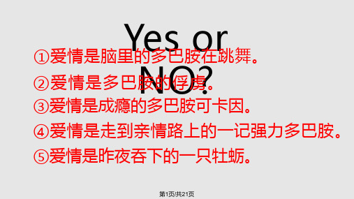 黑质纹状体通路通路二中脑PPT课件