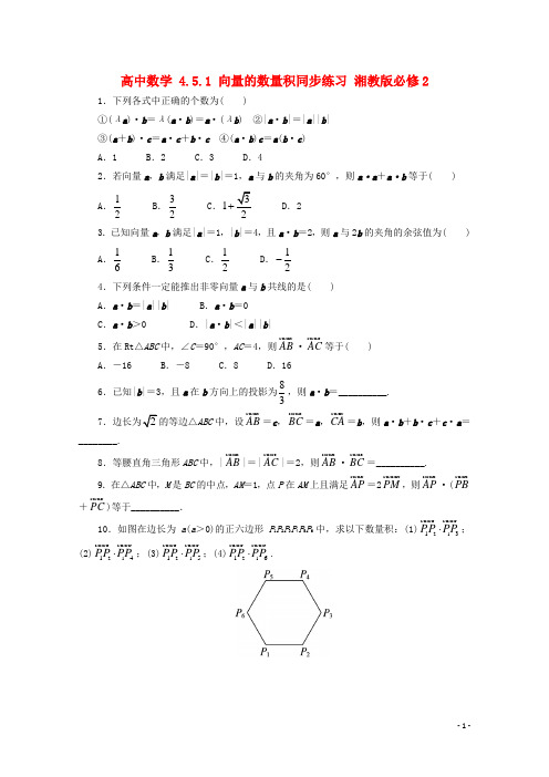 高中数学 4.5.1 向量的数量积同步练习 湘教版必修2