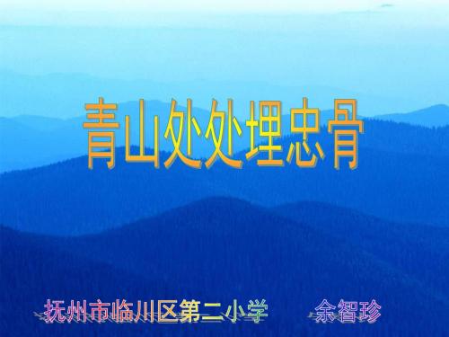 教科版四年级上册《青山处处埋忠骨》PPT课件