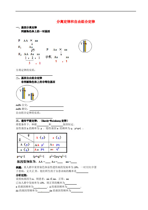 北京市高考生物一轮复习 例题讲解 专题 分离定律和自由组合定律学案(无答案)