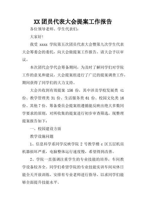 XX团员代表大会提案工作报告