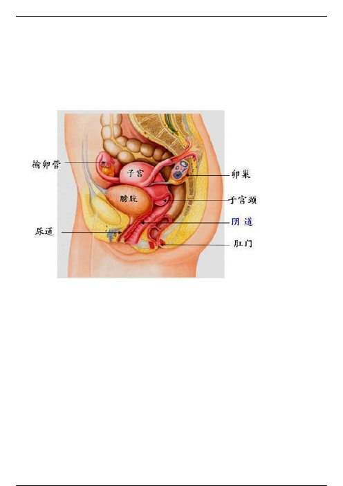 女生有哪些必须懂得的生理知识？