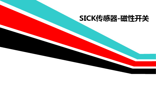 SICK 磁性开关