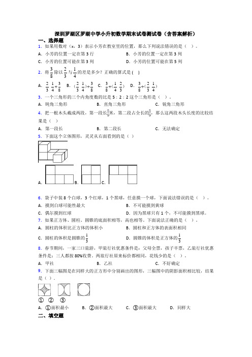 深圳罗湖区罗湖中学小升初数学期末试卷测试卷(含答案解析)