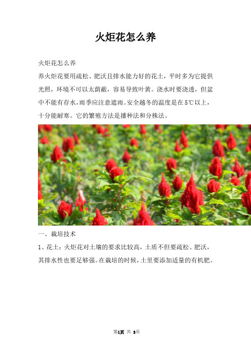 火炬花怎么养