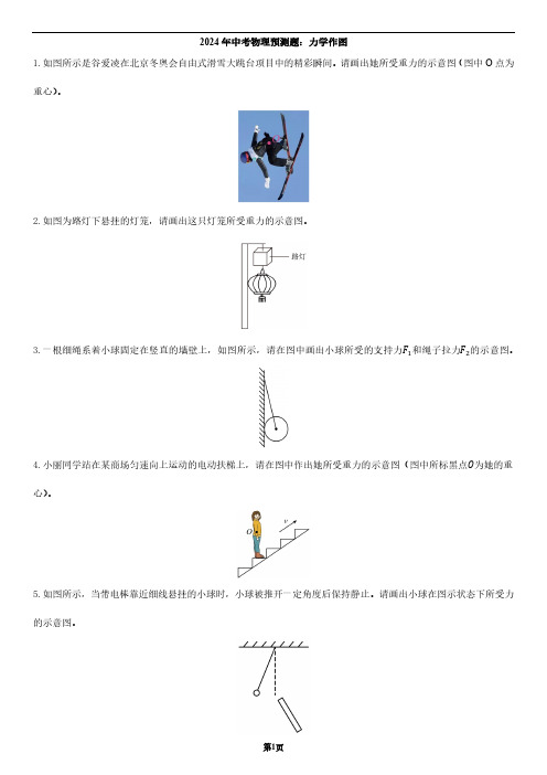 2024年中考物理预测题：力学作图