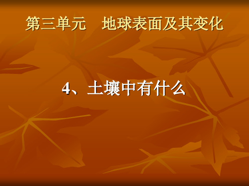 五年级上册科学课件-3.4土壤里有什么 教科版(共9张PPT)