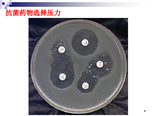 PKPD在合理使用抗生素中的意义