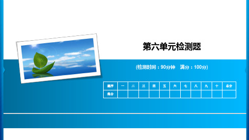 六年级下册语文课件-第六单元检测题 人教新课标(共14张PPT)