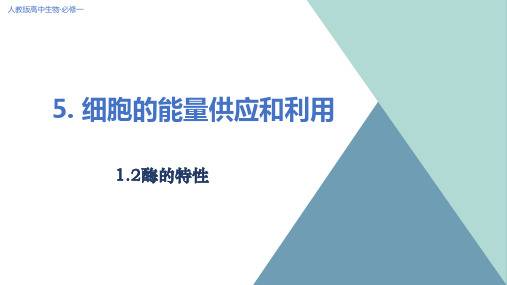 人教版高中生物必修一第五章5.1.2酶的特性教学课件共15张PPT