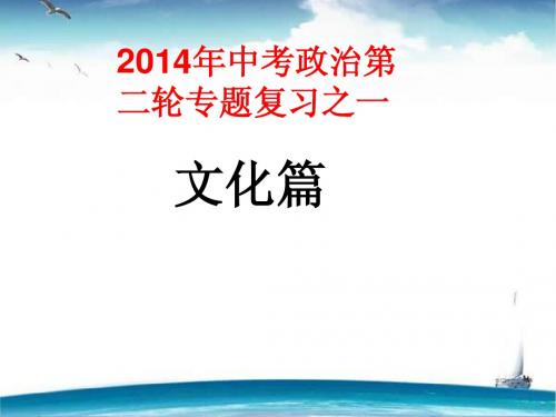 2014年第二轮时政专题复习之一文化