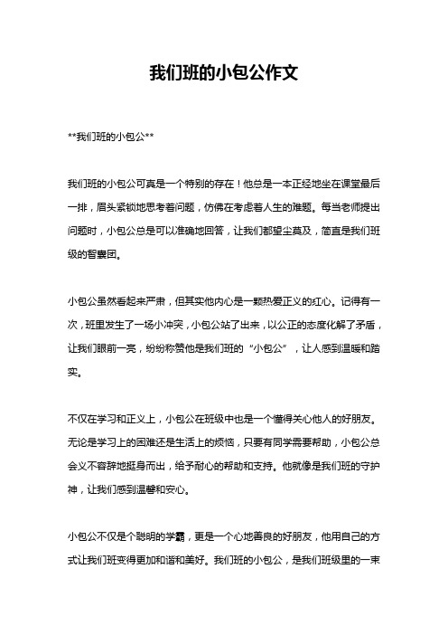 我们班的小包公作文