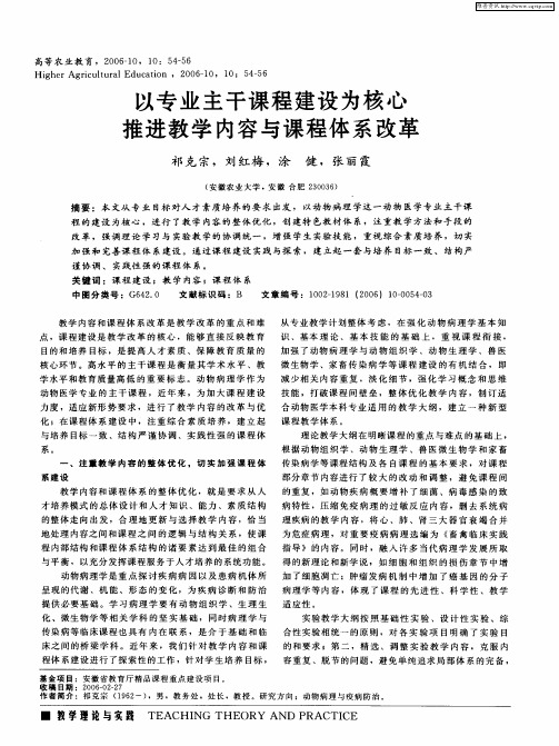 以专业主干课程建设为核心 推进教学内容与课程体系改革