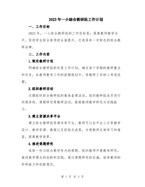 2023年一小综合教研组工作计划