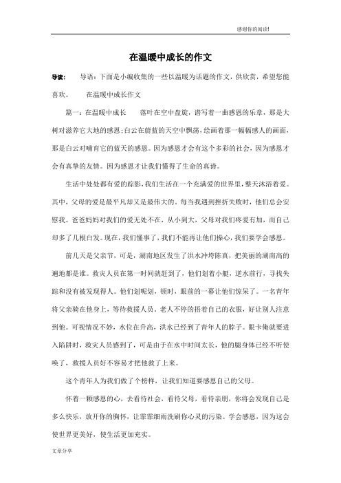 在温暖中成长的作文