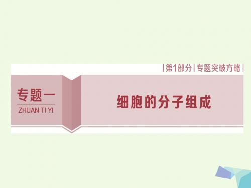 2017高考生物考前冲刺复习第1部分专题突破方略专题一细胞的分子组成课件