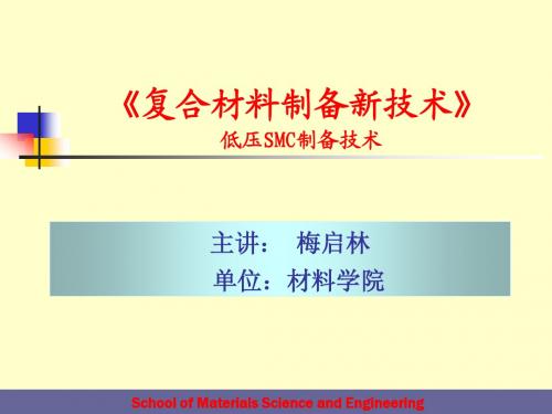 6低压SMCPPT