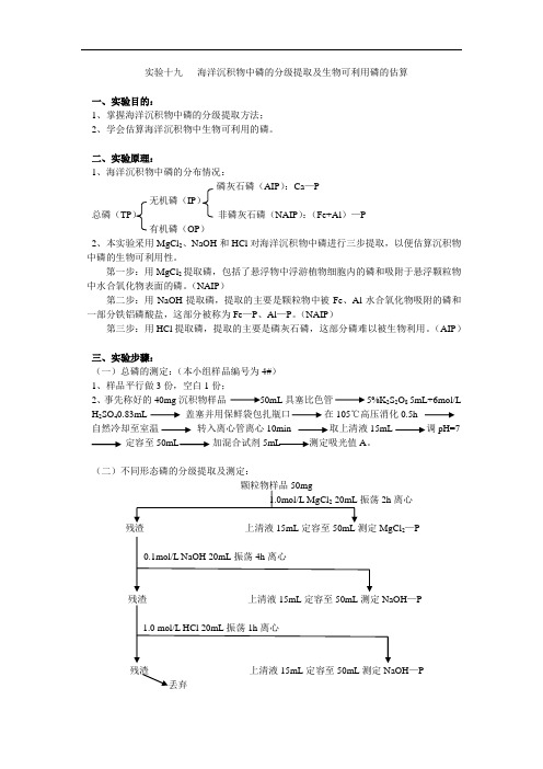 实验十九   海洋沉积物中磷的分级提取及生物可利用磷的估算